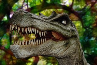 【体験談】その歯医者大丈夫？こんなに違う治療の実例