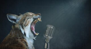 【ロック雑学】ジャニスの「クライ・ベイビー」は歴史のウンチクの宝庫だった！